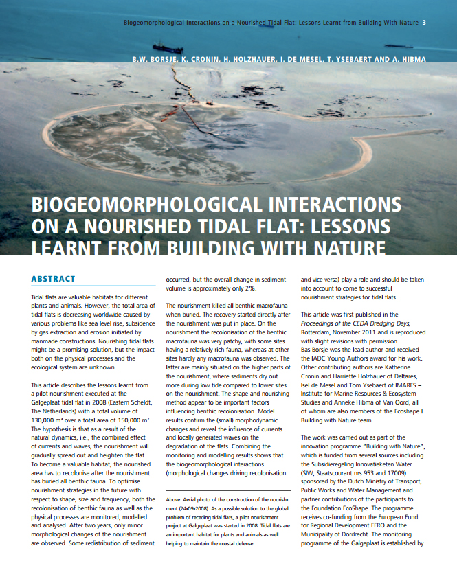 Biogeomorphological Interactions on a Nourished Tidal Flat: Lessons Learnt from Building With Nature