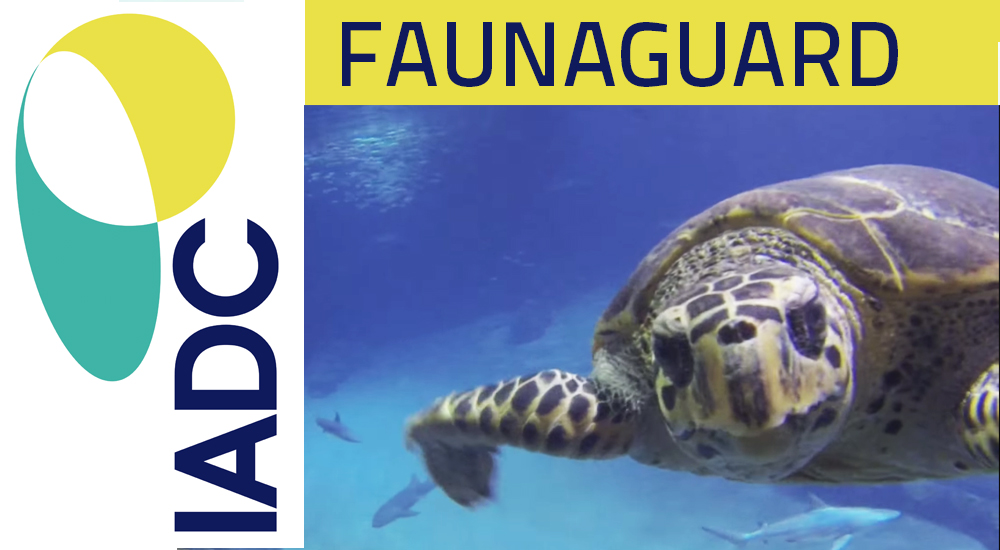 Video Faunaguard